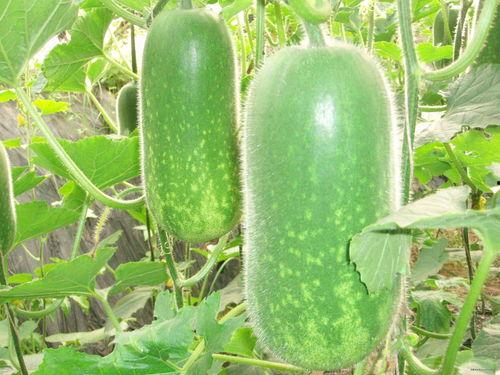 吃瓜网每日大赛聚集地,每日大赛聚集地，精彩赛事一网打尽！